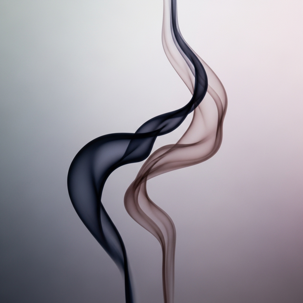 Catilinarele de Amelie Nothom